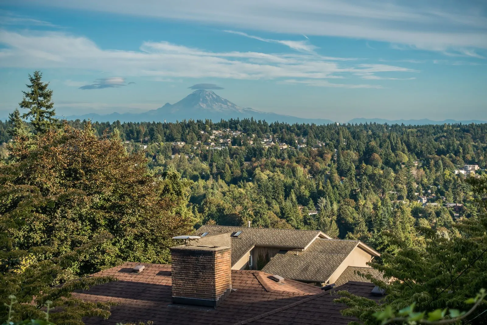 Making moves simple, fast, and stress-free for families and businesses in Kent, WA